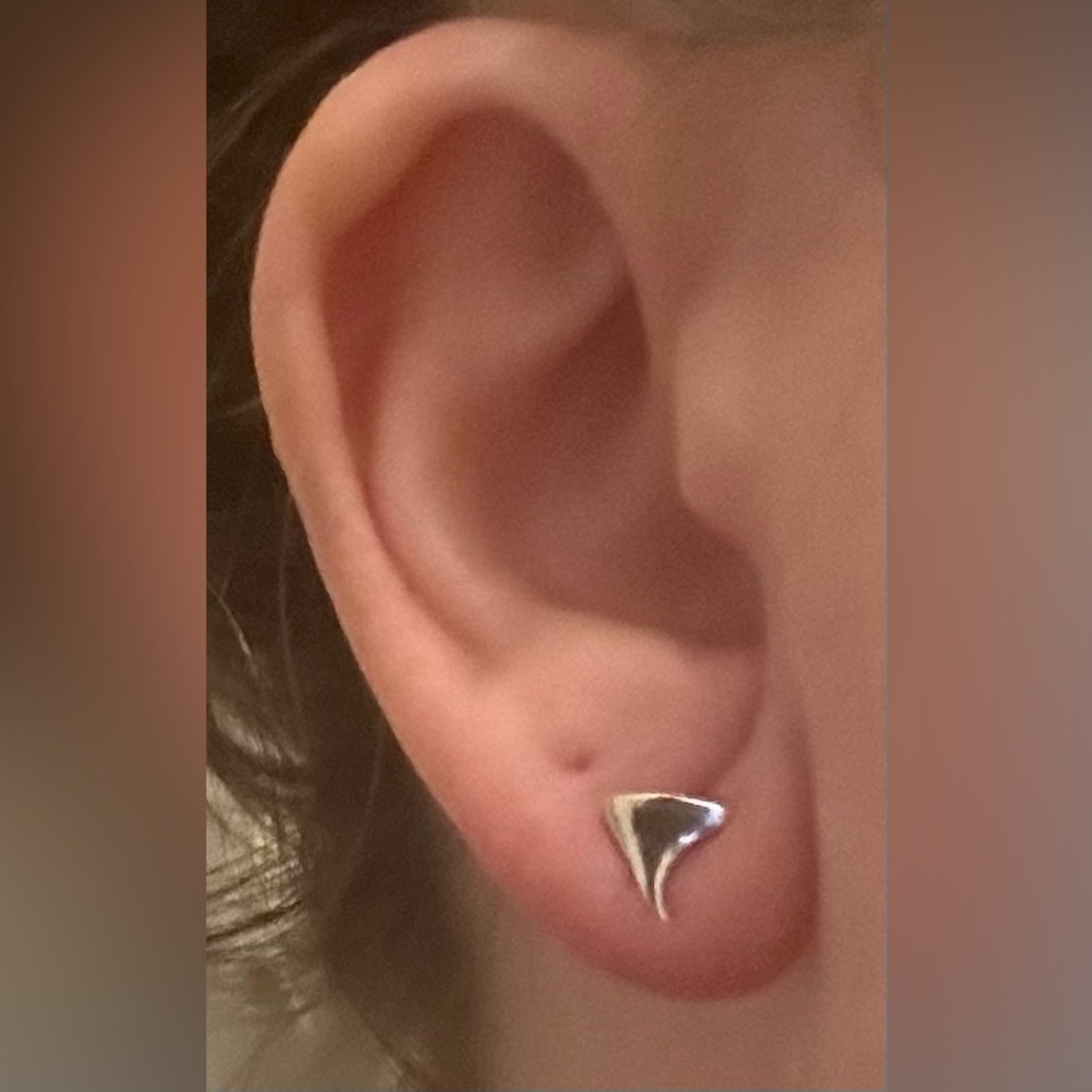 Catbird Rose Thorn Earrings - Picture 4 of 4